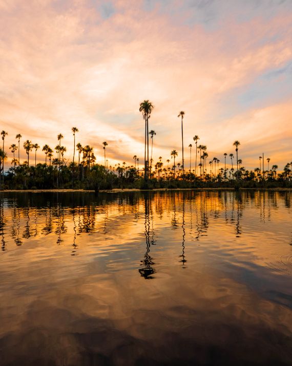 tambopata 4 dias y 3 noches atardecer en la selva get in peru