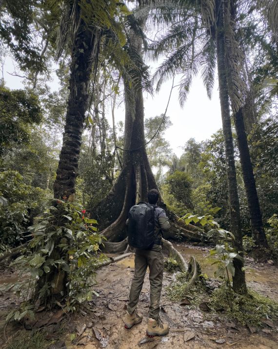 bosque lluvioso tambopata tour de 3 dias get in peru