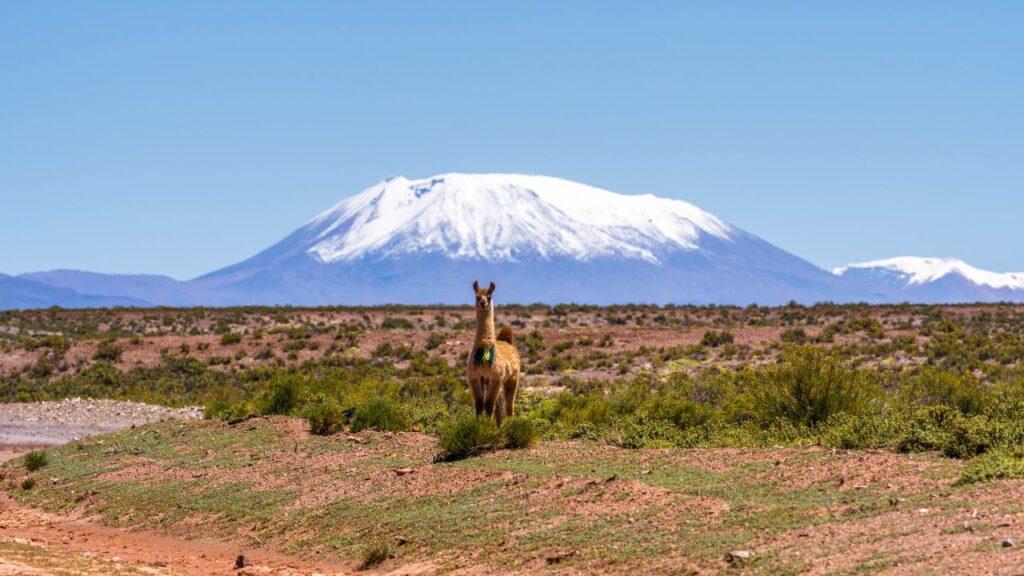 Tour salar de uyuni 3 dias y 2 noches desde Cusco get in peru