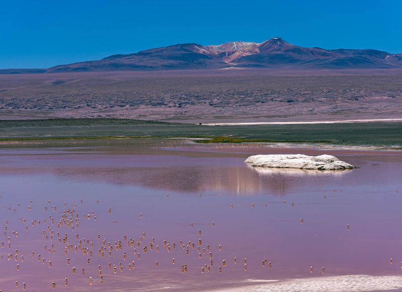 tour salar de uyuni 3 dias y 2 noches flamencos get in peru