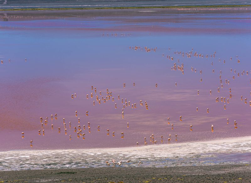 tour salar de uyuni 3 dias y 2 noches laguna roja get in peru