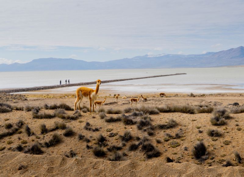 salineras arequipa (1)