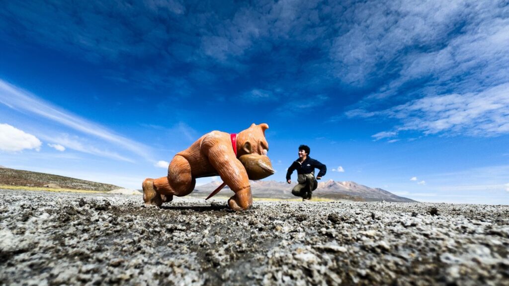 Descubre los Mejores Lugares y Experiencias tour salar arequipa get in peru