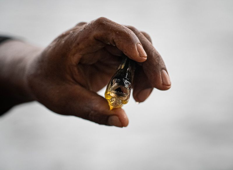 lake yacumama tambopata get in peru