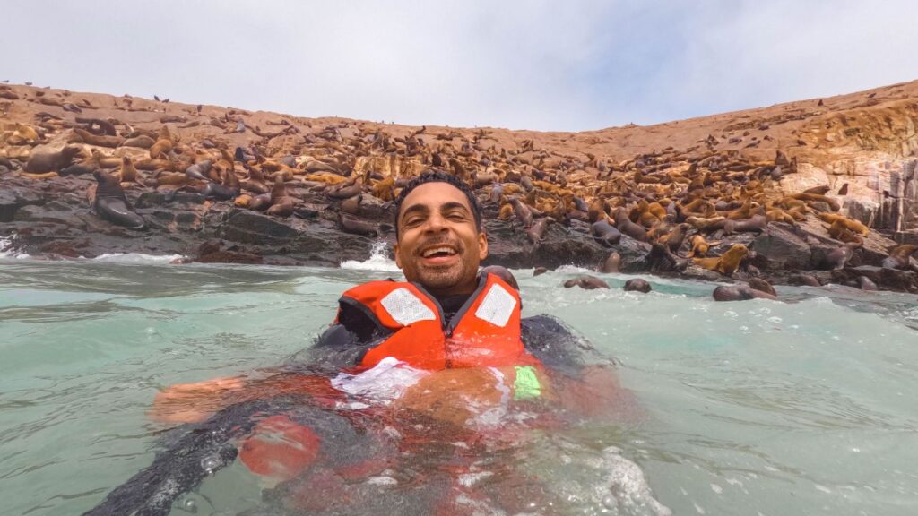 tour islas palomino nado con lobos marinos lima get in peru